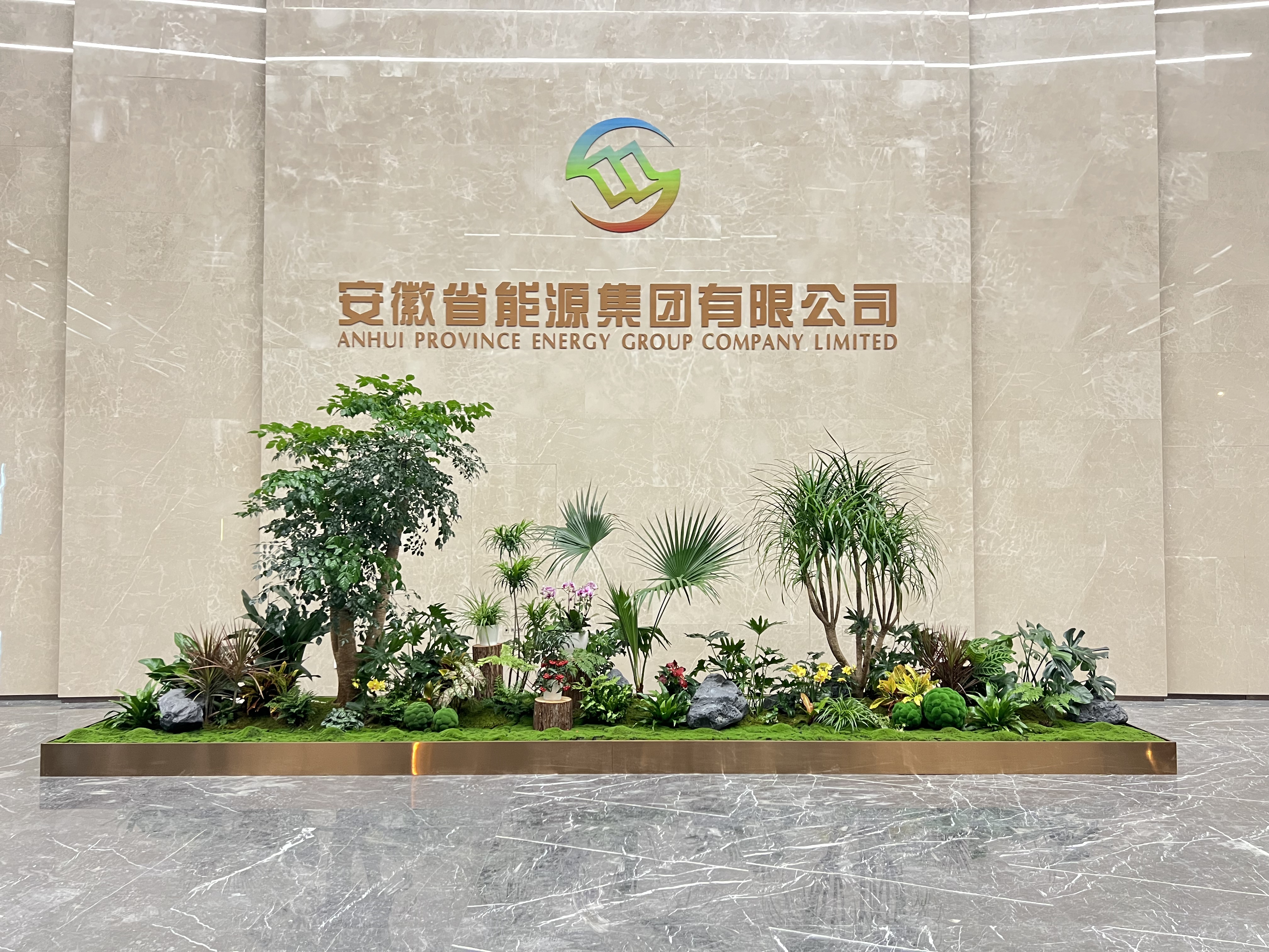 了解江北花卉出租方案，让花卉扮靓你的世界